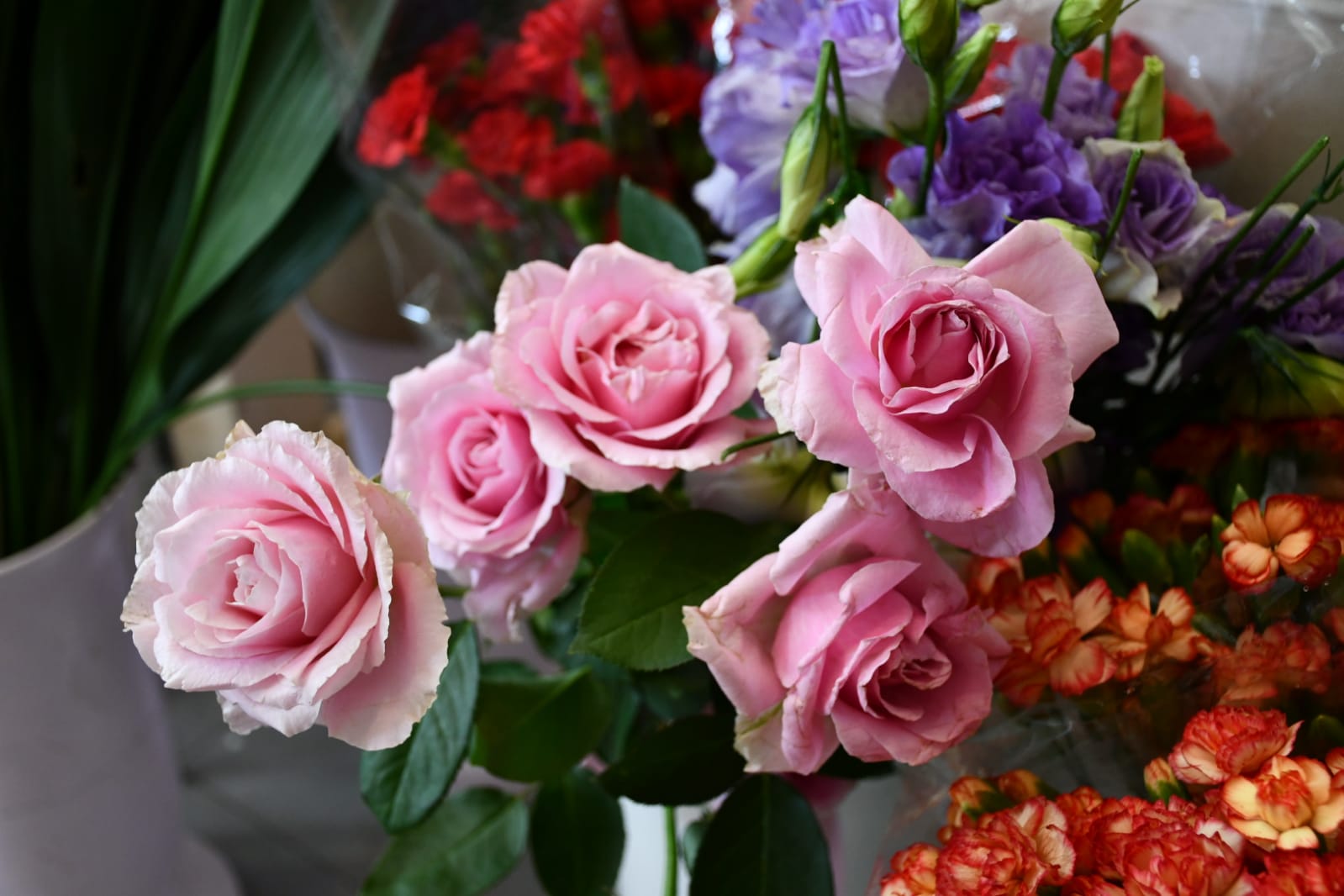 WhatsApp Image 2020-05-22 at 4.35.57 PM (2).jpeg.jpeg